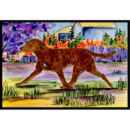 Carolines Treasures Chesapeake Bay Retriever Doormat - 24 x 36 in. SS8435JMAT